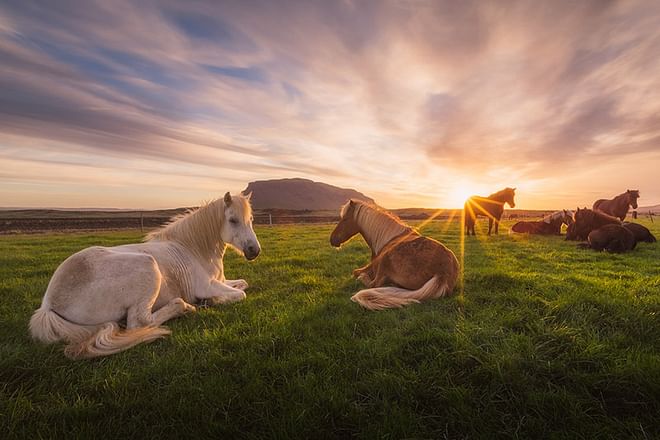 3 Day South Coast Photo Workshop in Iceland