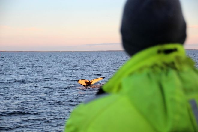 Midnight Sun Tour