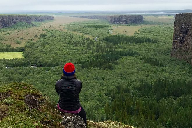 Geology tour: Jökulsárgljúfur - private tour
