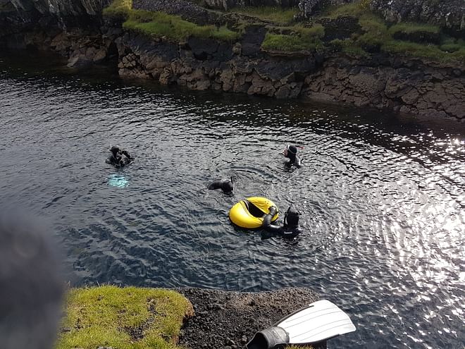 Freedive foodhunt 