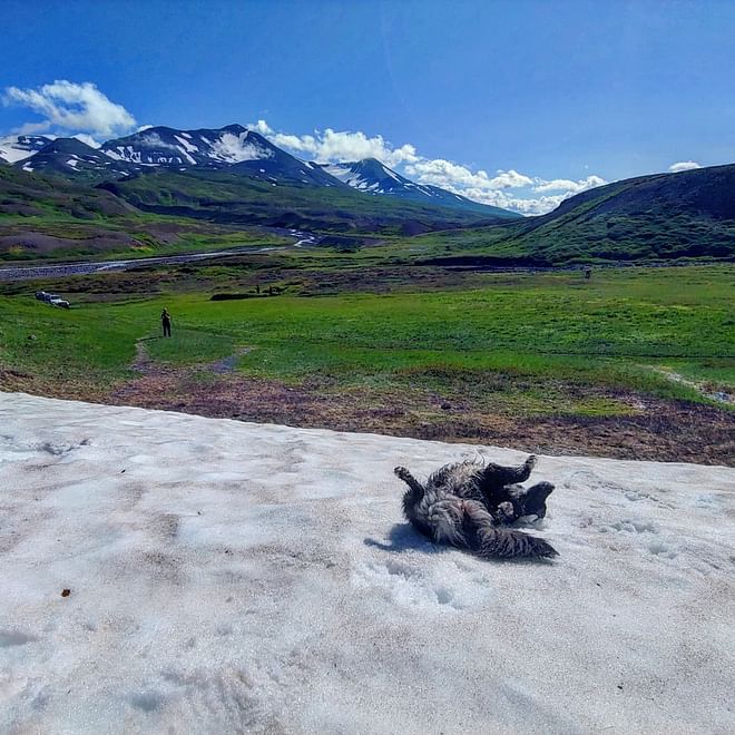 Landmannalaugar & Hekla Volcano Private Adventure