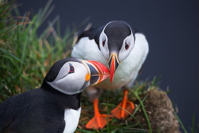 3 Day South Coast Photo Workshop in Iceland