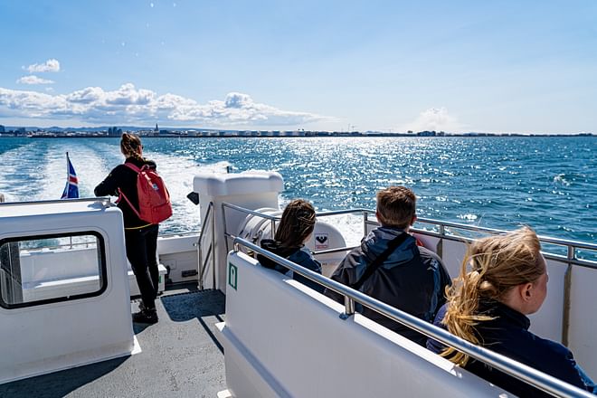 Whale Watching Excursion from Reykjavik & Whales of Iceland Exhibition: Explore the Sea's Giants