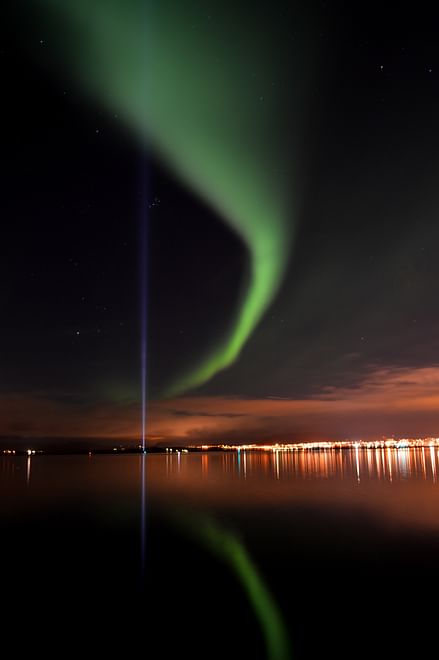 Horses & Northern Lights by boat
