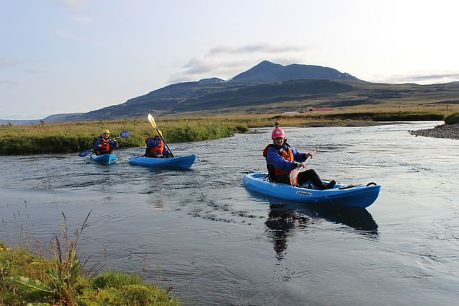 Kayak trip