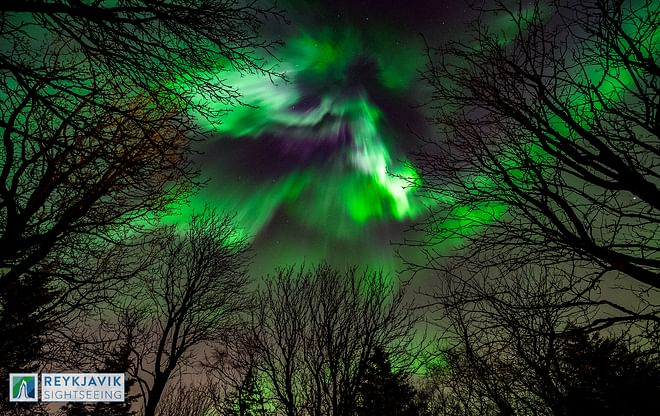  NORTHERN LIGHTS AND STARGAZING (Guided in 10 languages)