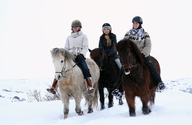 Comfort Ride