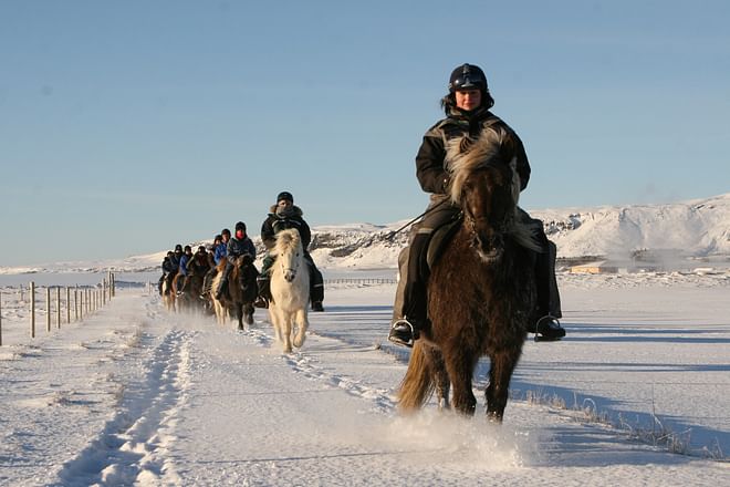 02G - Icelandic Diversity 