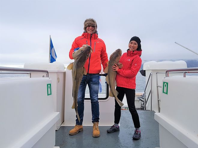 Whales & Sea Angling