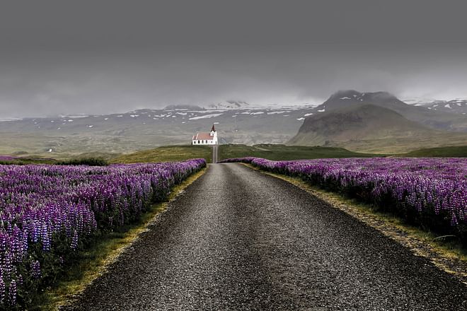 6 Day Around Iceland Summer Minibus Tour