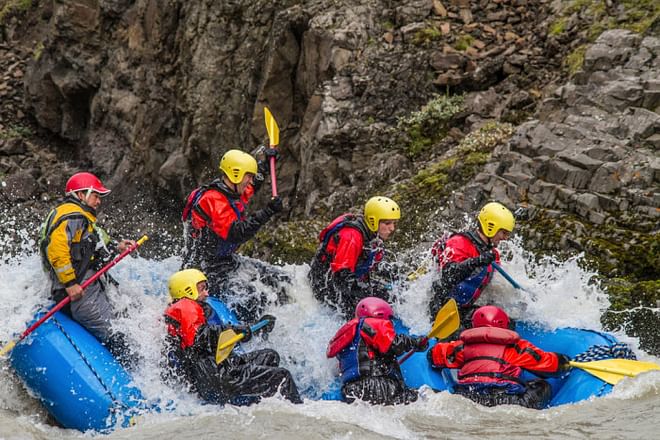 Whales & White Water Rafting