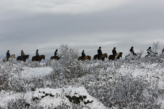 Private Horseback Riding Tour