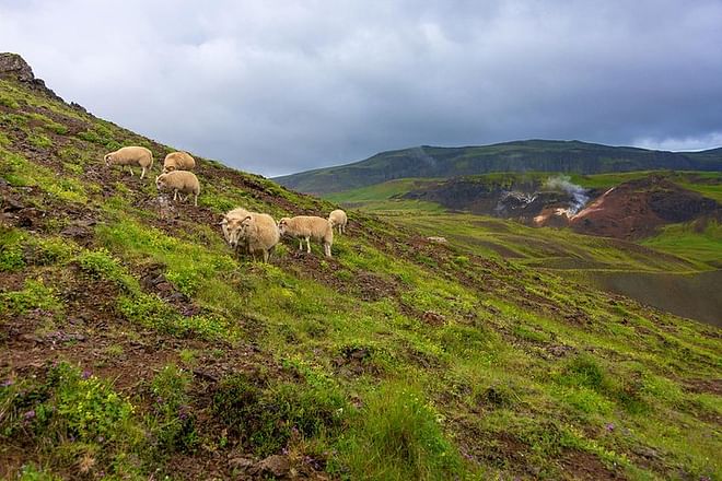 Private Luxury Jeep Tour - Game of Thrones Experience