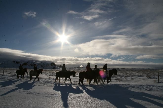 04D - Riding and Gullfoss, Geysir & Þingvellir