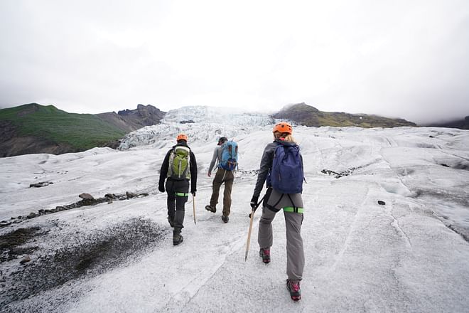 Glacier Encounter 