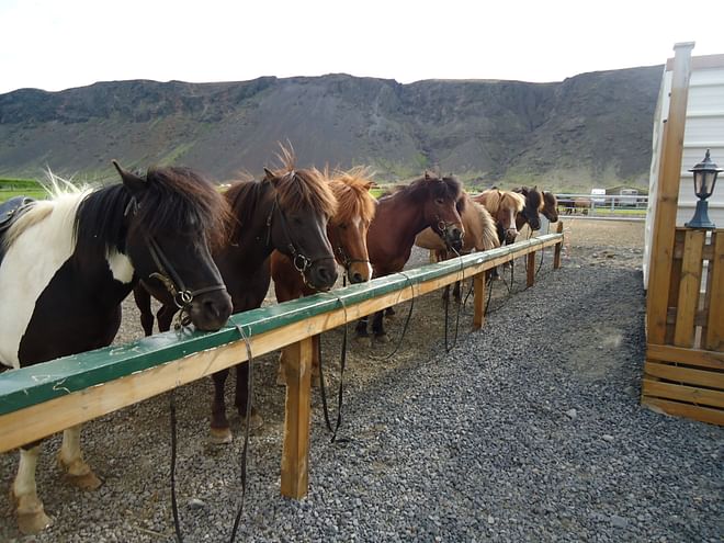 1 Hour Hotspring Valley Riding 