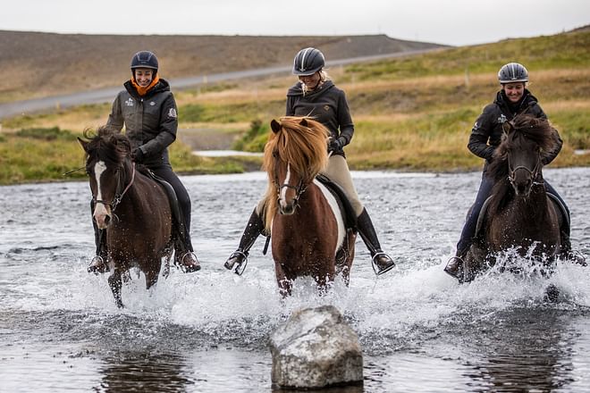 Pleasure in every hoof step