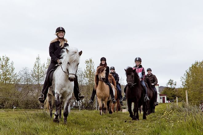 Horse Riding Tour - 1hr (Akureyri) Gásir