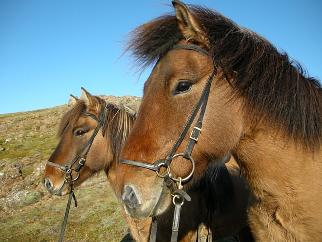 1 Hour Hotspring Valley Riding 