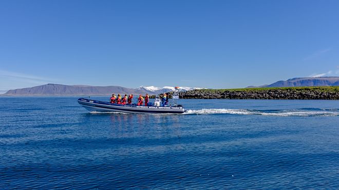 Premium Puffin Tour
