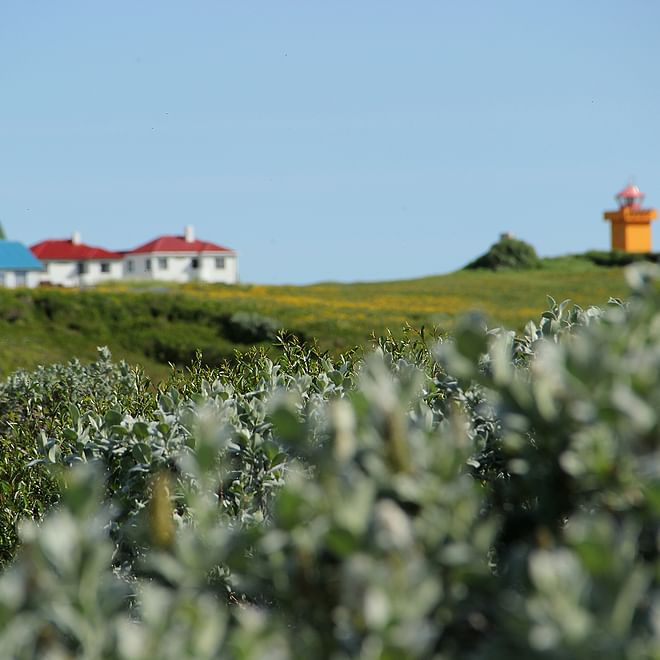 GG4 Flatey Island