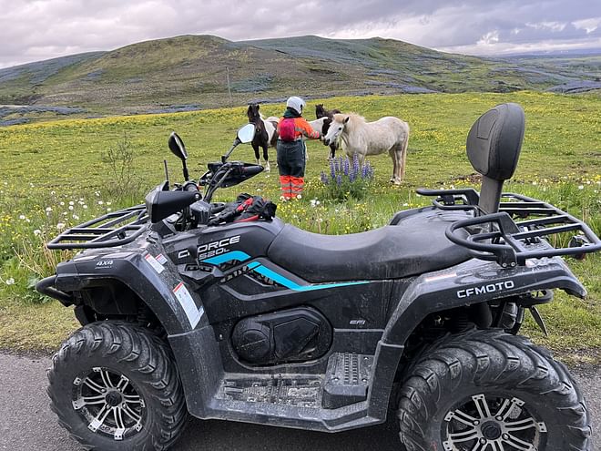 Midnight Sun Safari