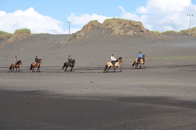 Beach Horse Riding Tour - Ölfus 