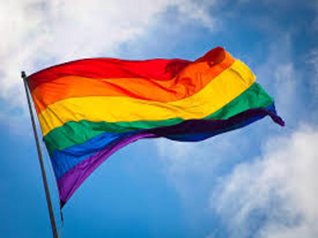 Gay Organisations